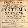 Linné-icône.jpg